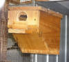 photo parrot of nest box