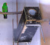 sloping parrot nestbox with horizontal base